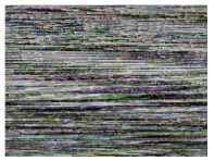 Screen shot of scrambled picture